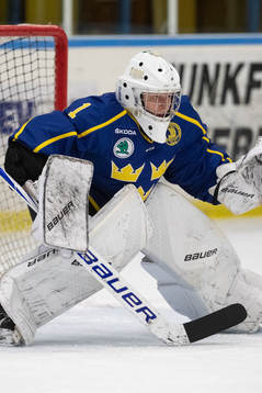 Sveriges målvakt Alexander Hellnemo