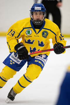 Sveriges Liam Engström