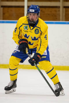 Sveriges Kalle Odelius