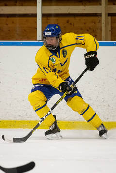 Sveriges Tim Almgren