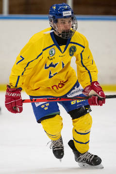 Sveriges Jakob Norén