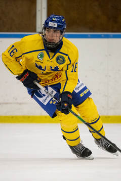 Sveriges Liam Öhgren