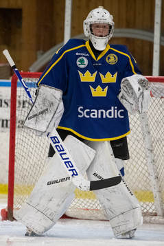 Sveriges målvakt Alexander Hellnemo