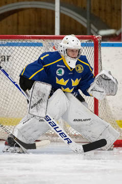 Sveriges målvakt Alexander Hellnemo