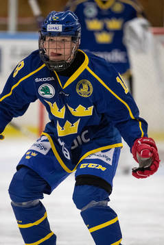 Sveriges Lukas Vesterlund