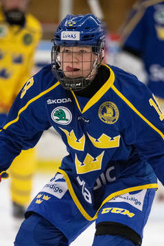 Sveriges Lukas Vesterlund