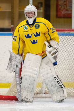 Sveriges målvakt William Larsson