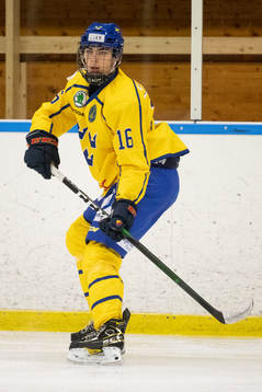 Sveriges Liam Öhgren