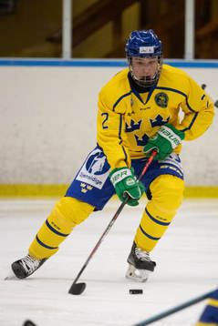 Sveriges Joel Kjellberg