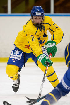 Sveriges Joel Kjellberg