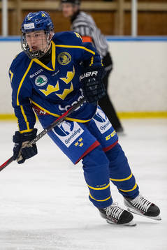 Sveriges Oscar Tängerby