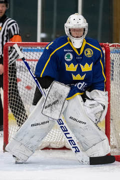 Sveriges målvakt Alexander Hellnemo
