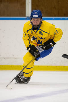 Sveriges Rasmus Rudslätt