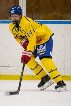 Sveriges Fabian Hellström
