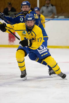 Sveriges Rasmus Rudslätt