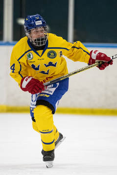 Sveriges Kalle Odelius