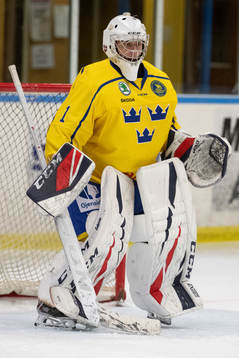 Sveriges målvakt Hugo Hävelid
