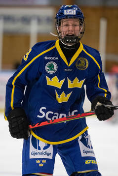 Sveriges Karl Larsson