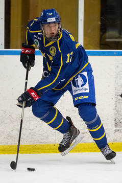 Sveriges Loa Milfors