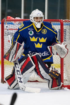 Sveriges målvakt Lukas Svedin