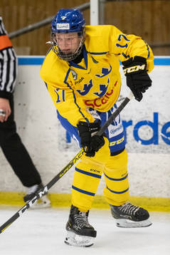 Sveriges Rasmus Rudslätt