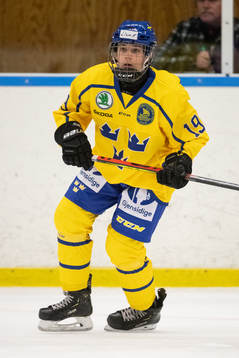 Sveriges Liam Engström