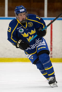Sveriges William Rosenfors