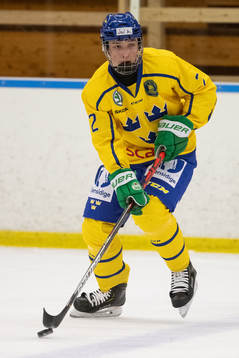 Sveriges Joel Kjellberg