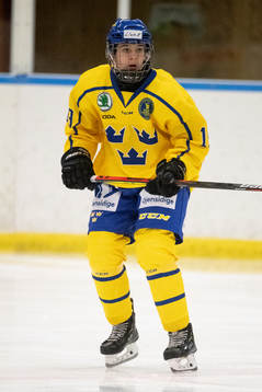 Sveriges Liam Engström