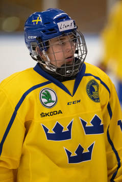 Sveriges Liam Engström