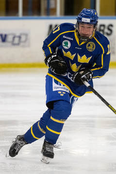 Sveriges Loa Milfors