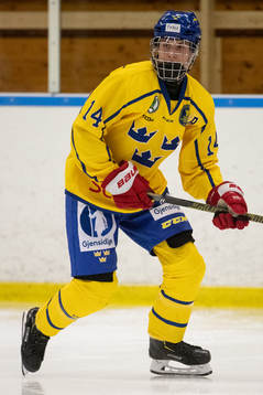 Sveriges Fabian Hellström