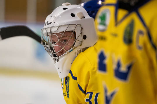 Sveriges målvakt William Larsson