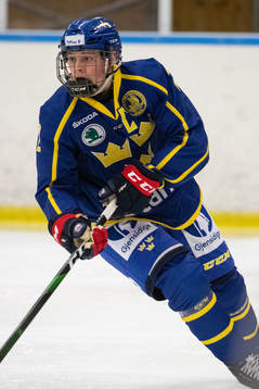 Sveriges Mattias Hävelid