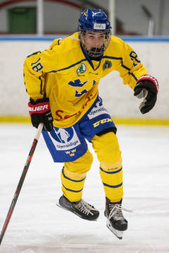 Sveriges Joel Kant