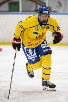 Sveriges Joel Kant