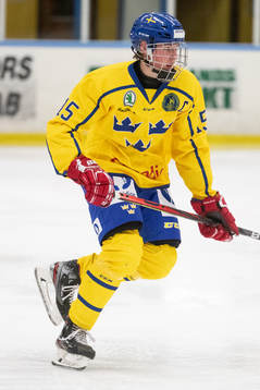 Sveriges Alexander Dahlgren