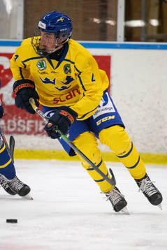 Sveriges Kalle Odelius