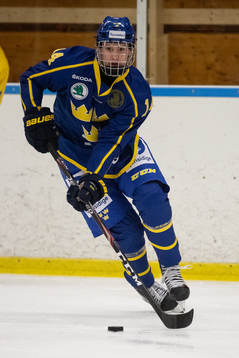 Sveriges Alexander Suzdalev