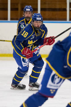 Sveriges Lukas Vesterlund