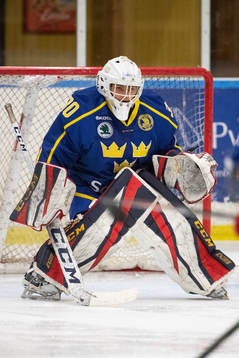 Sveriges målvakt Lukas Svedin