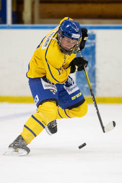 Sveriges Rasmus Rudslätt