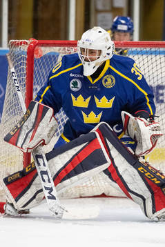 Sveriges målvakt Lukas Svedin