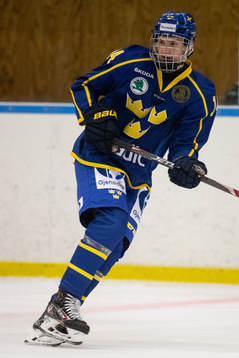Sveriges Alexander Suzdalev