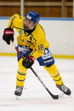 Sveriges Joel Kant