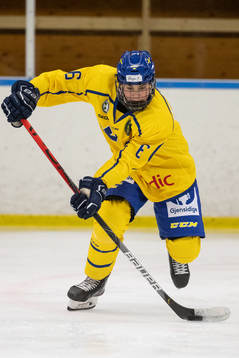 Sveriges Hugo Fransson