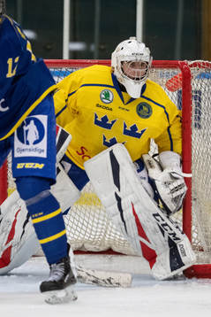 Sveriges målvakt Hugo Hävelid