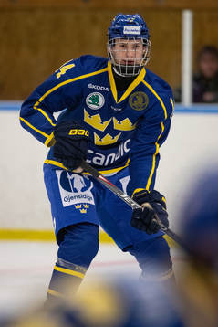 Sveriges Alexander Suzdalev
