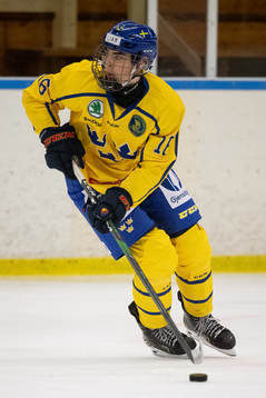 Sveriges Liam Öhgren