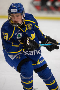 Sveriges William Rosenfors